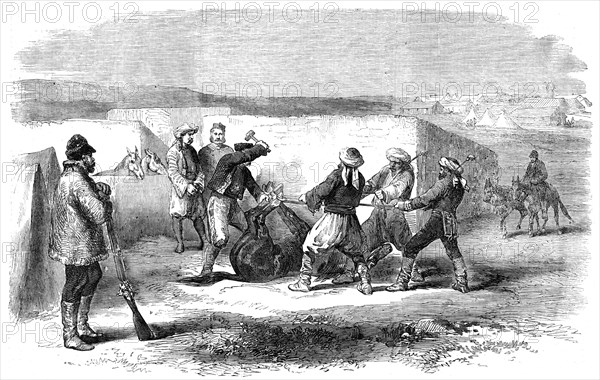 The Land Transport Camp before Sebastopol - Shoeing a Refractory Mule - sketched by J. A. Crowe, 185 Creator: Unknown.