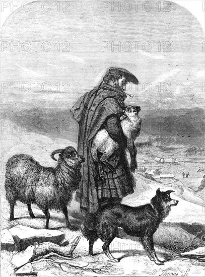 The Highland Shepherd - painted by R. Ansdell - from the Exhibition of the Royal Academy, 1856. Creator: W Thomas.