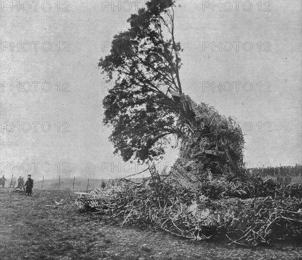 'Les deux derniers zeppelins abattus par les Anglais; Debris du L31 accroches a un chene..., 1916. Creator: Unknown.