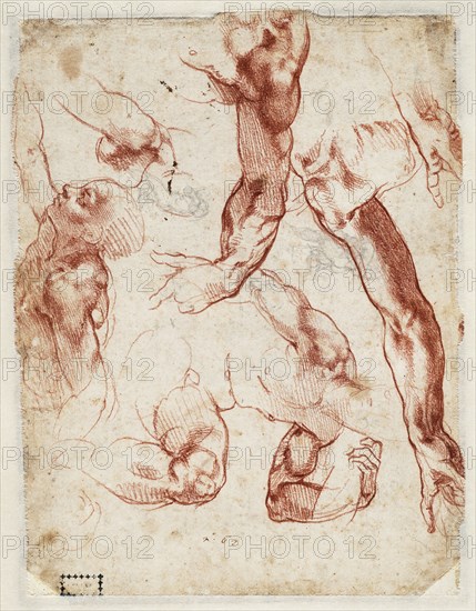 Studies of figures and limbs, 1511. Creator: Buonarroti, Michelangelo (1475-1564).