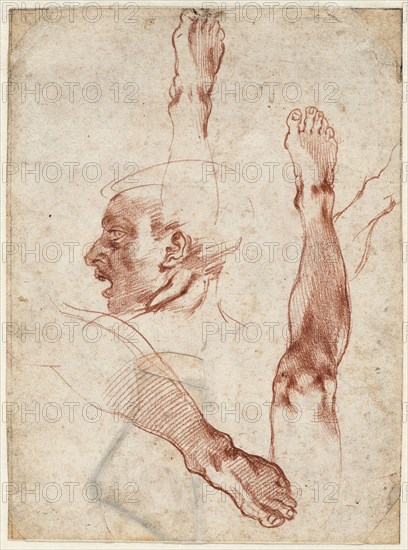 Male head in profile, studies of limbs, 1511. Creator: Buonarroti, Michelangelo (1475-1564).