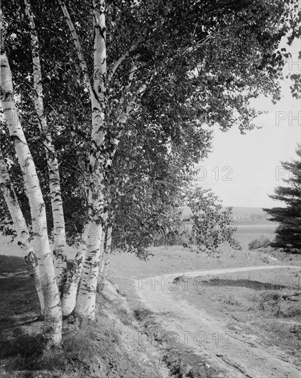 Down the road and far away, c.between 1910 and 1920. Creator: Unknown.