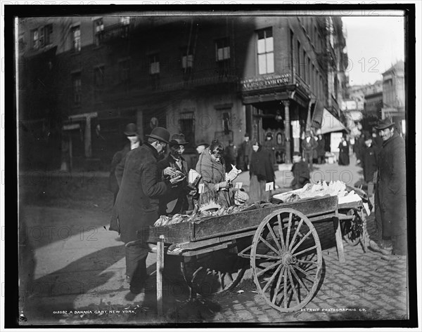 A banana cart, New York, c1900. Creator: Byron Company.