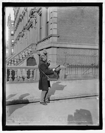 A little music in New York, c1900. Creator: Byron Company.