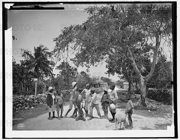 Street scrap in Grant's Town, Nassau, W.I., c1901. Creator: William H. Jackson.