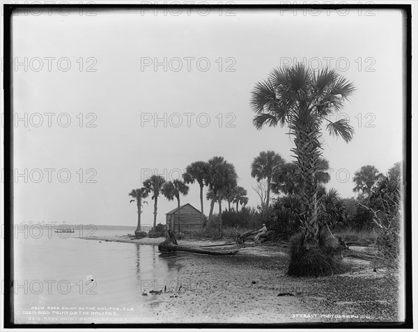 Ross Point on the Halifax, Fla., between 1880 and 1897. Creator: William H. Jackson.