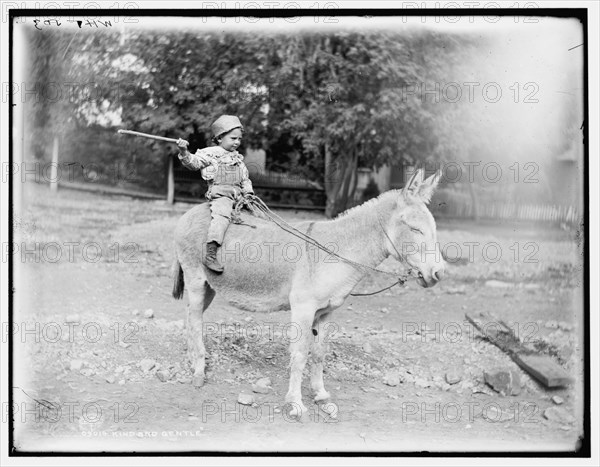 Kind and gentle, c1901. Creator: William H. Jackson.