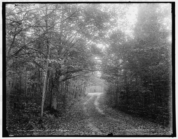 Lovers' Lane, Mackinac Island, Mich., (1902?). Creator: William H. Jackson.