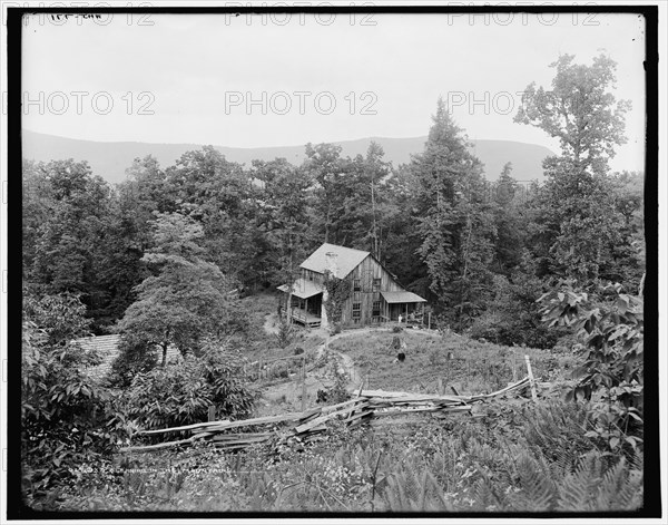 A clearing in the mountains, (1902?). Creator: William H. Jackson.