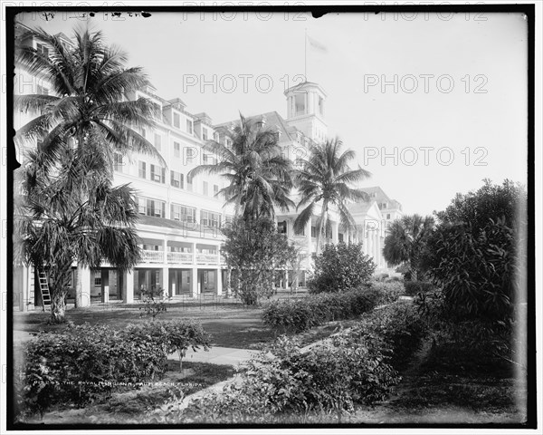 The Royal Poinciana, Palm Beach, Florida, c1902. Creator: William H. Jackson.