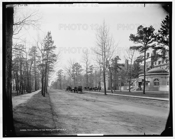 The Laurel in the Pines, Lakewood, N.J., c1901. Creator: William H. Jackson.