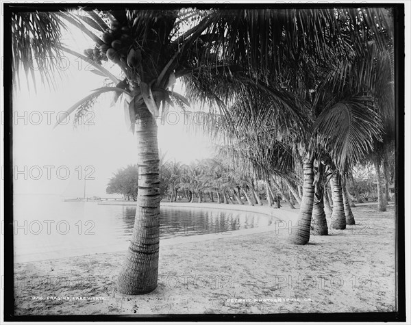 Cragin's, Lake Worth, Fla., c1894. Creator: William H. Jackson.