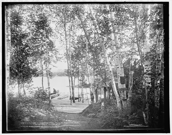 A glimpse of Raquette Lake from St. Hubert's Isle, Adirondack Mountains, c1902. Creator: William H. Jackson.
