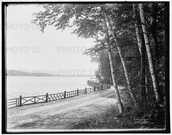 Pine Hurst Road, Lower Saranac Lake, Adirondack Mts., c1902. Creator: William H. Jackson.