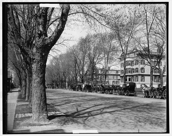 The Laurel House, Lakewood, N.J., c1901. Creator: William H. Jackson.