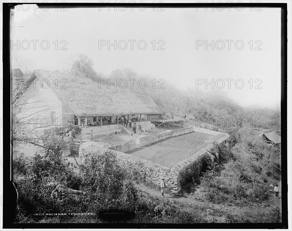 Hacienda Temasopa [sic], between 1880 and 1897. Creator: William H. Jackson.