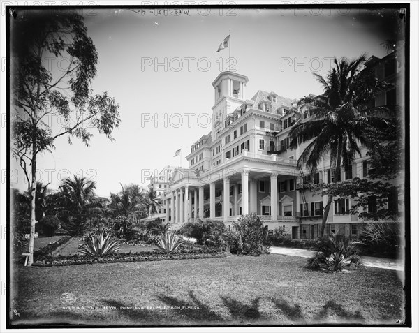The Royal Poinciana, Palm Beach, Florida, c1902. Creator: William H. Jackson.