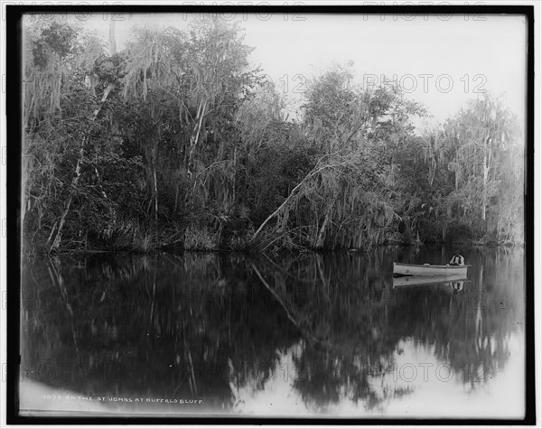 On the St. Johns at Buffalo Bluff, between 1880 and 1897. Creator: William H. Jackson.