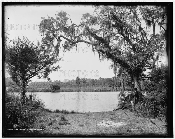 The ferry, Tomoka River, c1894. Creator: William H. Jackson.