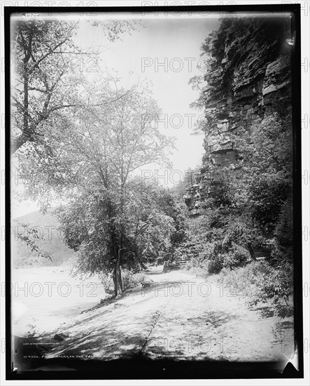 Paint Rocks i.e. Rock on the French Broad, N.C., c1902. Creator: William H. Jackson.