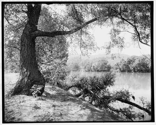 Across the French Broad near Hot Springs, N.C., (1902?). Creator: William H. Jackson.