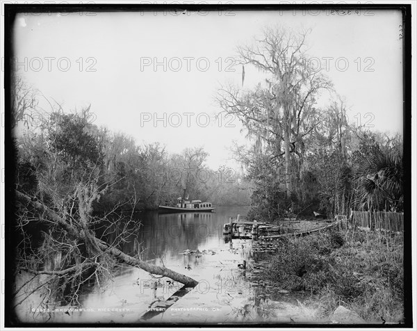Brown's landing, Rice Creek, between 1880 and 1897. Creator: William H. Jackson.