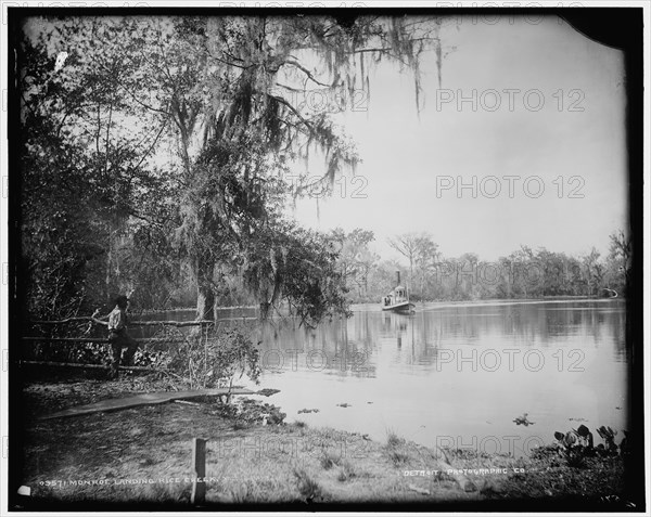 Monroe landing, Rice Creek, between 1880 and 1897. Creator: William H. Jackson.