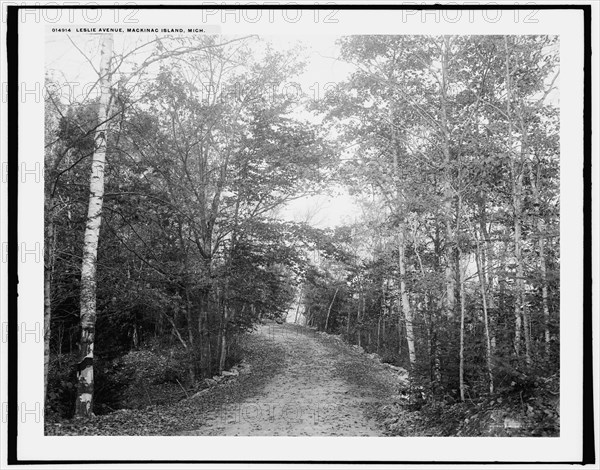 Leslie Avenue, Mackinac Island, Mich., (1902?). Creator: William H. Jackson.