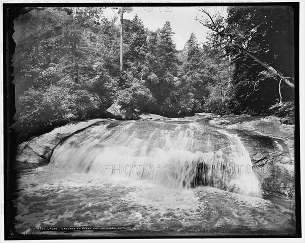 Laurel Cascade on Horse Pasture Creek, Sapphire, N.C., (1902?). Creator: William H. Jackson.