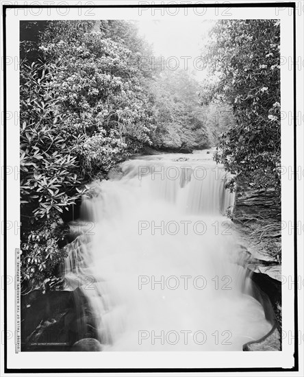 Falls of the narrows, Sapphire, N.C., c1902. Creator: William H. Jackson.