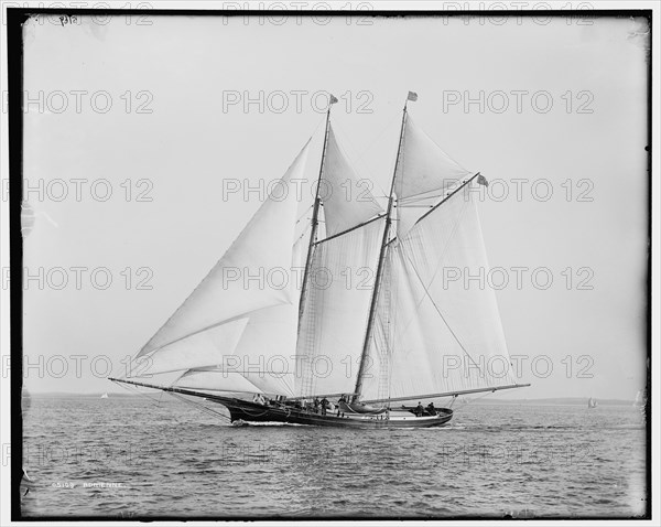 Adrienne, between 1892 and 1899. Creator: Unknown.