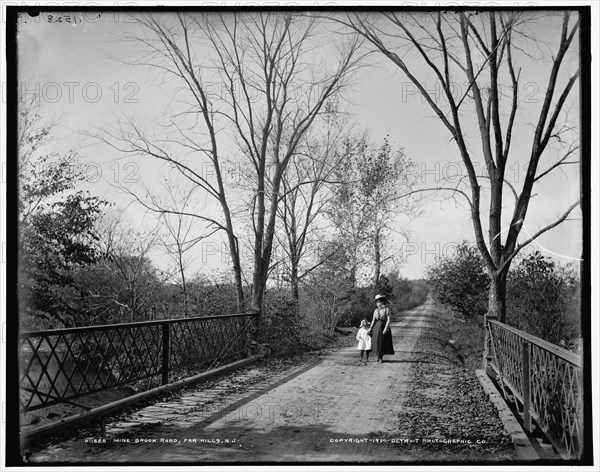 Mine Brook Road, Far Hills, N.J., c1900. Creator: Unknown.