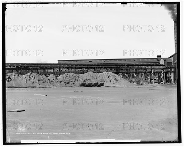 Calumet and Hecla stamp mills, Lake Linden, Mich., c1906. Creator: Unknown.