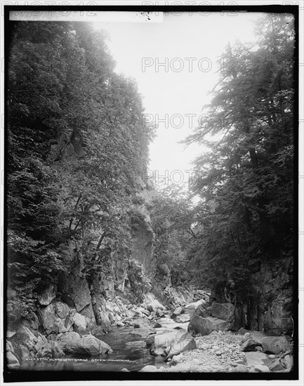 In Clarendon Gorge, Green Mountains, between 1900 and 1906. Creator: Unknown.