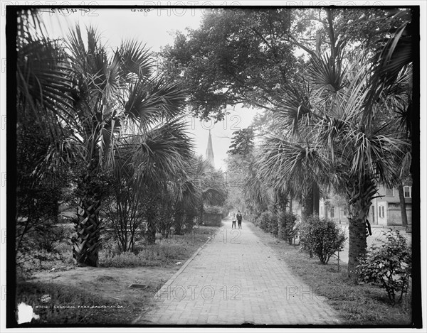 Colonial Park, Savannah, Ga., c1907. Creator: Unknown.