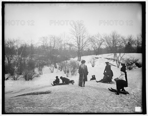 Coasting in Central Park, New York, between 1900 and 1906. Creator: Unknown.