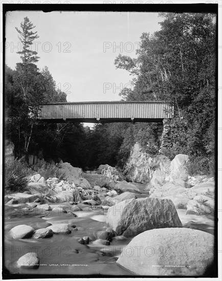 Clarendon Gorge, Green Mountains, between 1900 and 1906. Creator: Unknown.