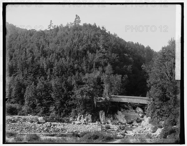 Clarendon Gorge, Green Mountains, between 1900 and 1906. Creator: Unknown.