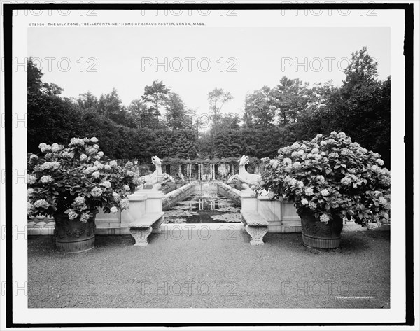The Lily pond, Bellefontaine, home of Giraud Foster, Lenox, Mass., (c1908?). Creator: Unknown.