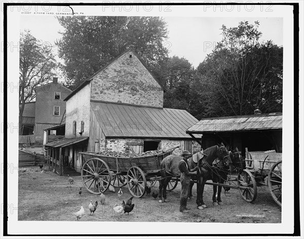 A Farm yard, Germantown, Pa., c.between 1900 and 1906. Creator: Unknown.
