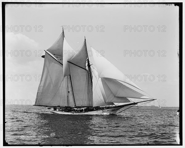 Fleur-de-lis, between 1880 and 1899. Creator: Unknown.