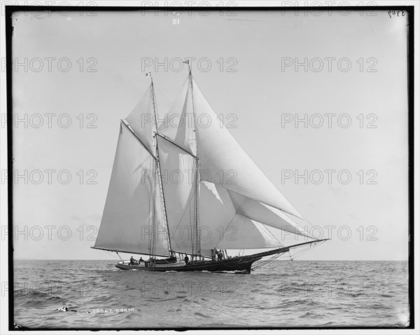 Foam, between 1880 and 1899. Creator: Unknown.