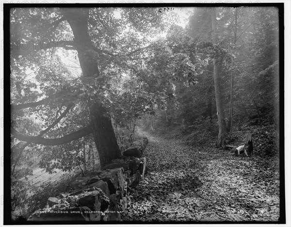 Riverside drive, Delaware Water Gap, c1900. Creator: Unknown.