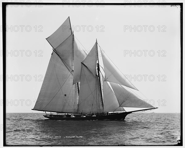 Fortuna, Goelet Cup Race, 1891 Aug 7. Creator: Unknown.