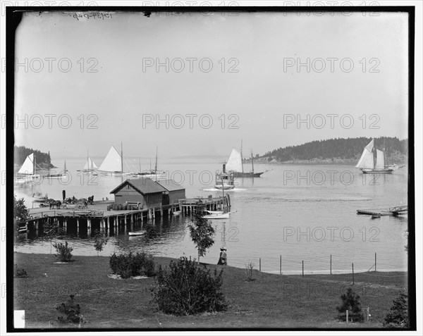 Bar Harbor, Mt. Mount Desert Island, Me., the harbor from Newport House, c1901. Creator: Unknown.