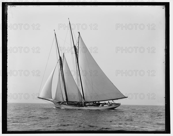 Gitana, between 1882 and 1899. Creator: Unknown.