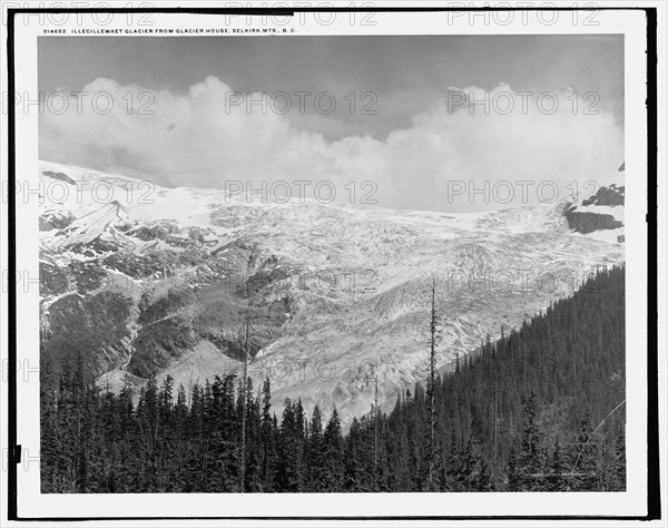 Illecillewaet Glacier from Glacier House, Selkirk Mts., B.C., c1902. Creator: Unknown.