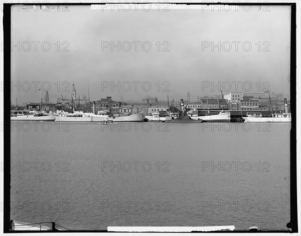 The Water front, Mobile, Alabama, c1906. Creator: Unknown.