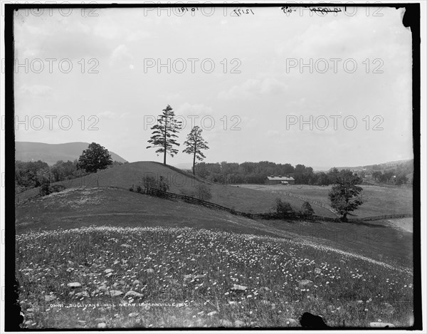 Sullivan's Hill near Lomanville i.e. Lowman, N.Y., between 1890 and 1901. Creator: Unknown.