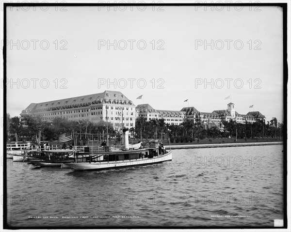 The Royal Poinciana from Lake Worth, Palm Beach, Fla., between 1900 and 1905. Creator: Unknown.